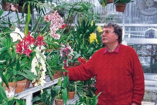 Kuno Krieger in seinem Orchideengewächshaus